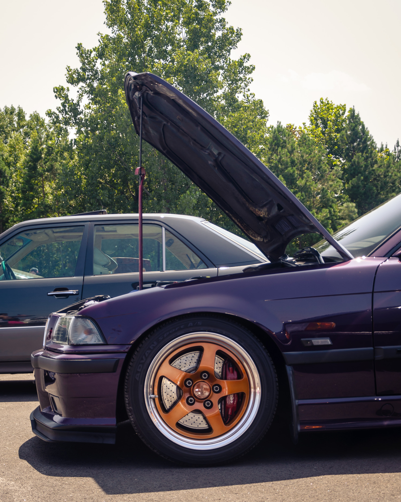 Illustration for article titled Here's Your Most Rad Radwood At GridLife Gallery